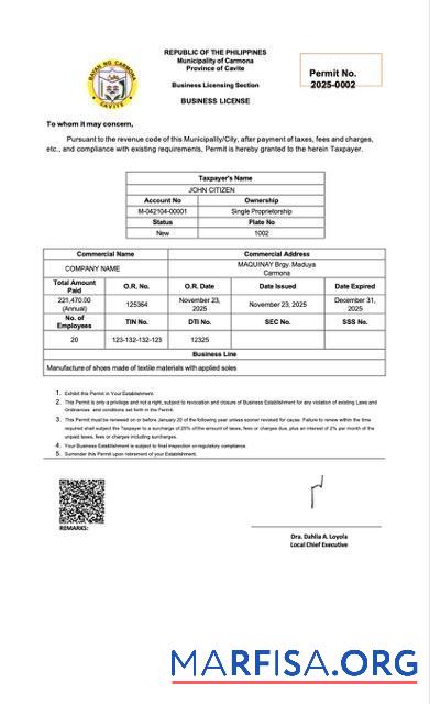 Realistic Philippines business license Word and PDF template